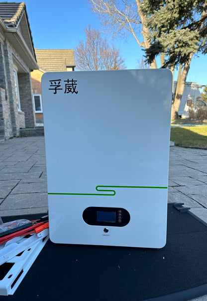 5KW IRICO Power Wall 51.2V Lifepo4 Home Energy Storage Unit